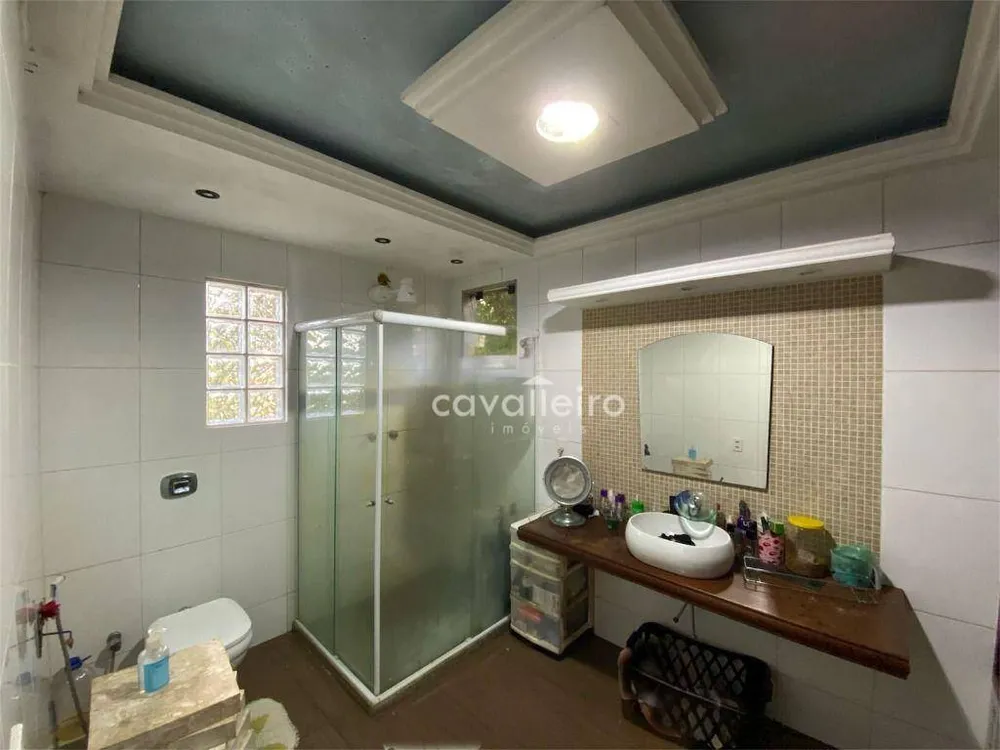 Sítio, 3 quartos, 5450 m² - Foto 13