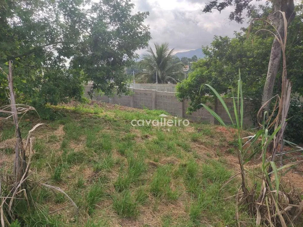 Terreno, 1140 m² - Foto 9