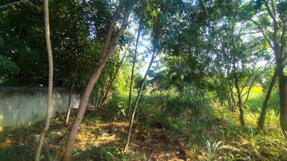 Terreno, 666 m² - Foto 7
