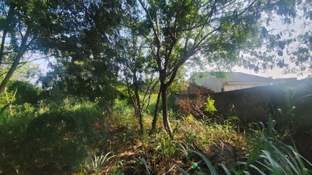 Terreno, 666 m² - Foto 3