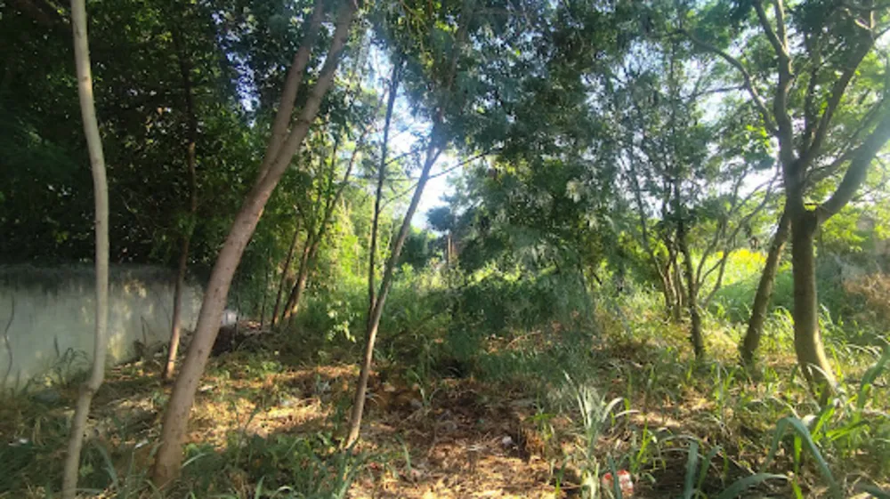 Terreno, 666 m² - Foto 5