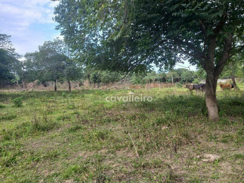 Terreno, 5432 m² - Foto 8