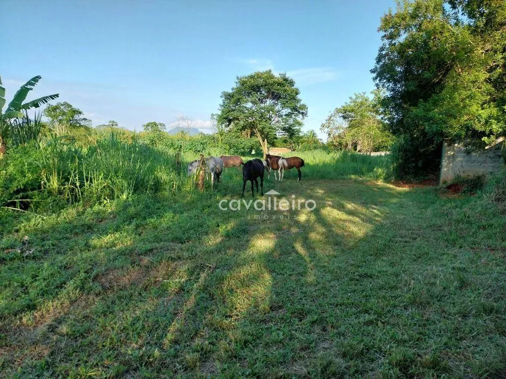 Terreno, 5432 m² - Foto 14