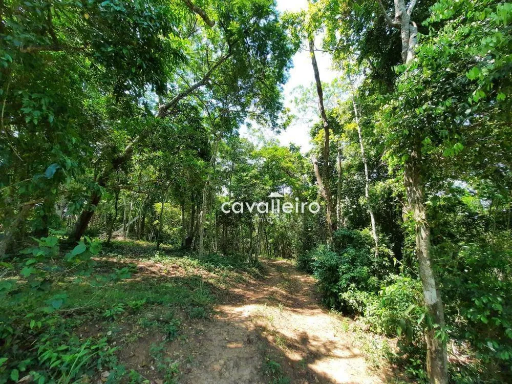 Casa, 4 quartos, 264 m² - Foto 8