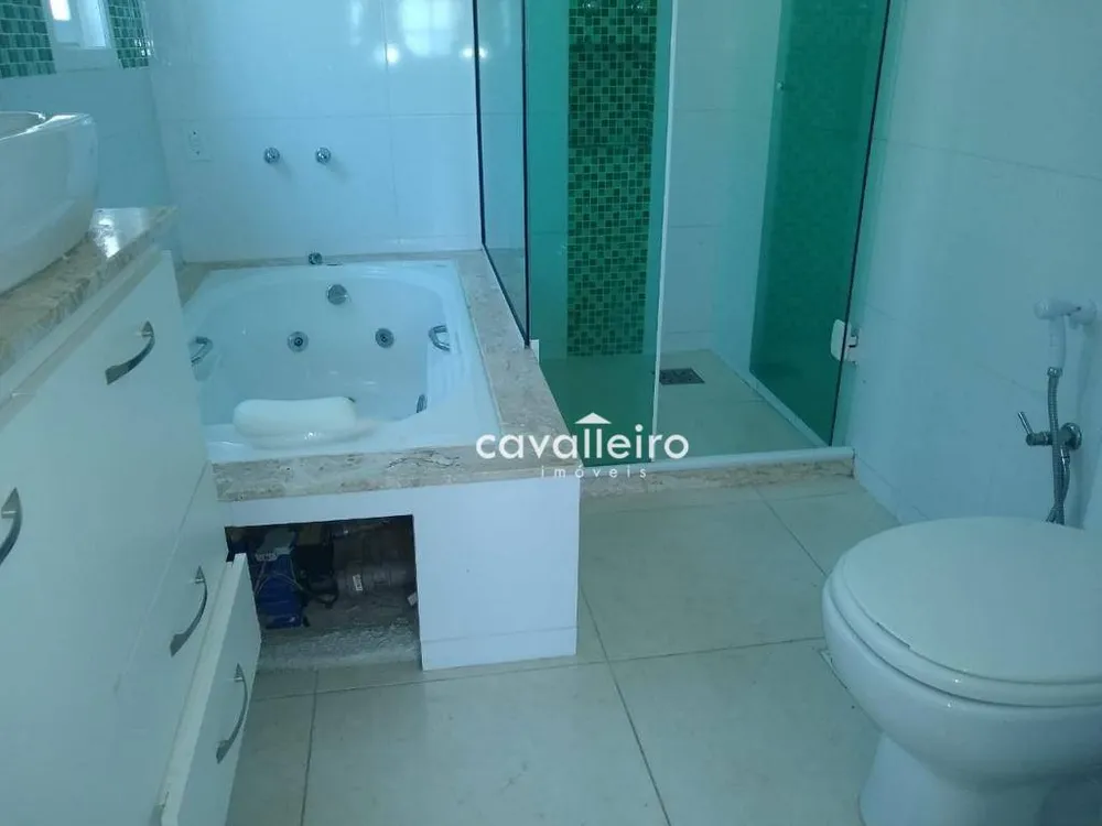 Casa, 4 quartos, 250 m² - Foto 15