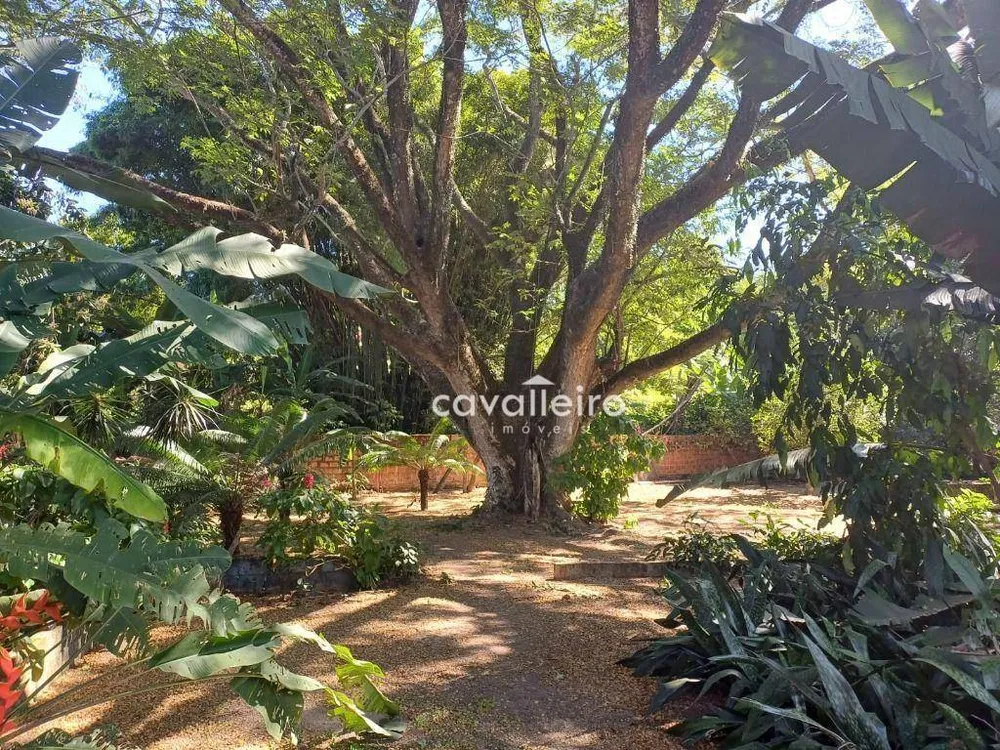 Chácara, 3 quartos, 5160 m² - Foto 51