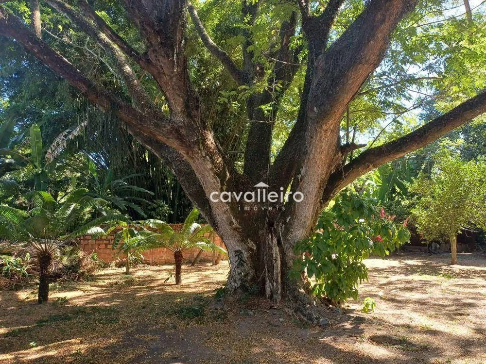 Chácara, 3 quartos, 5160 m² - Foto 15