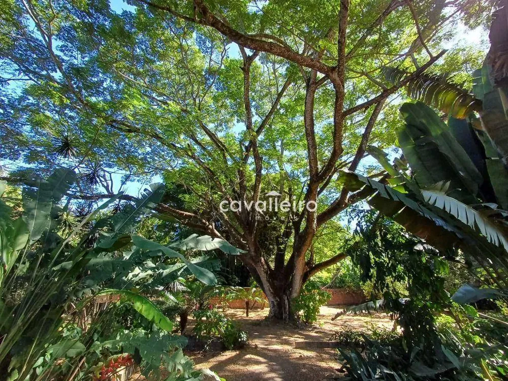 Chácara, 3 quartos, 5160 m² - Foto 49