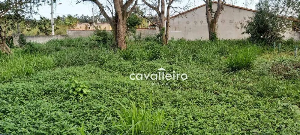 Terreno, 4000 m² - Foto 10