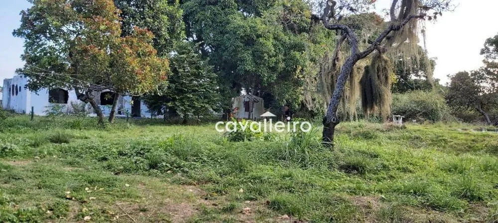 Terreno, 4000 m² - Foto 3