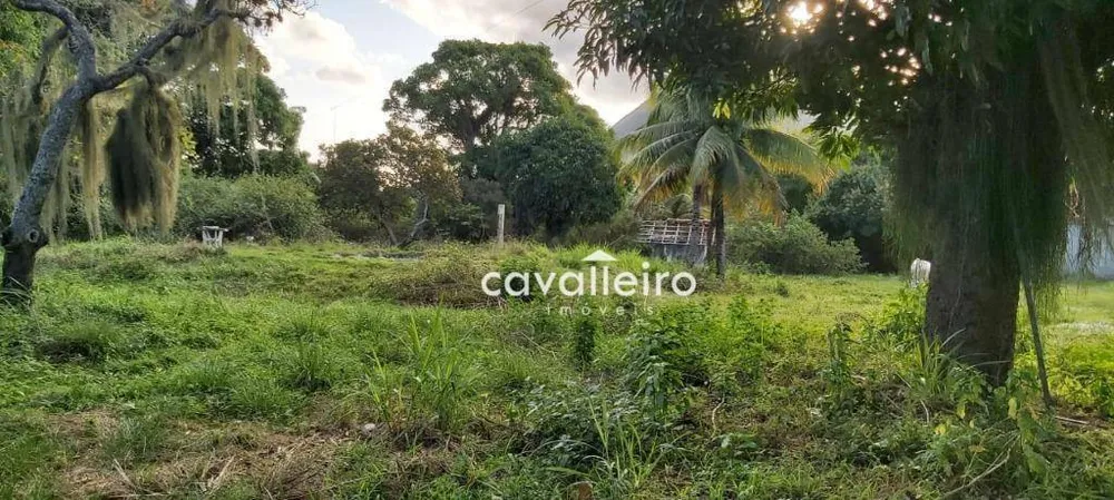 Terreno, 4000 m² - Foto 7