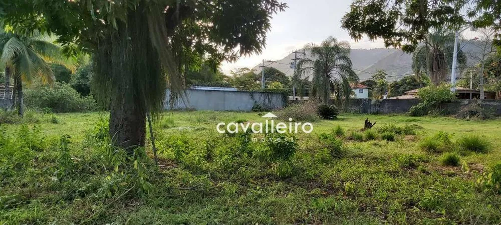 Terreno, 4000 m² - Foto 4