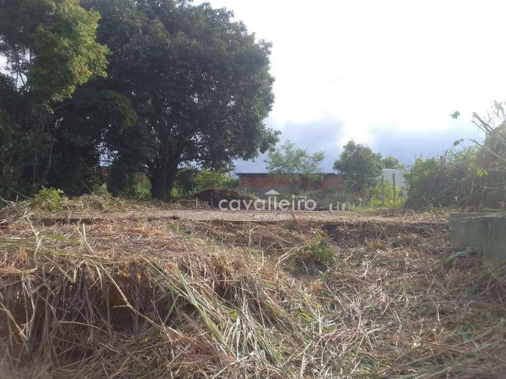 Terreno, 360 m² - Foto 5