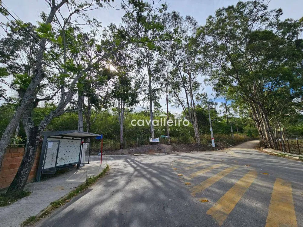 Terreno, 21 hectares - Foto 3