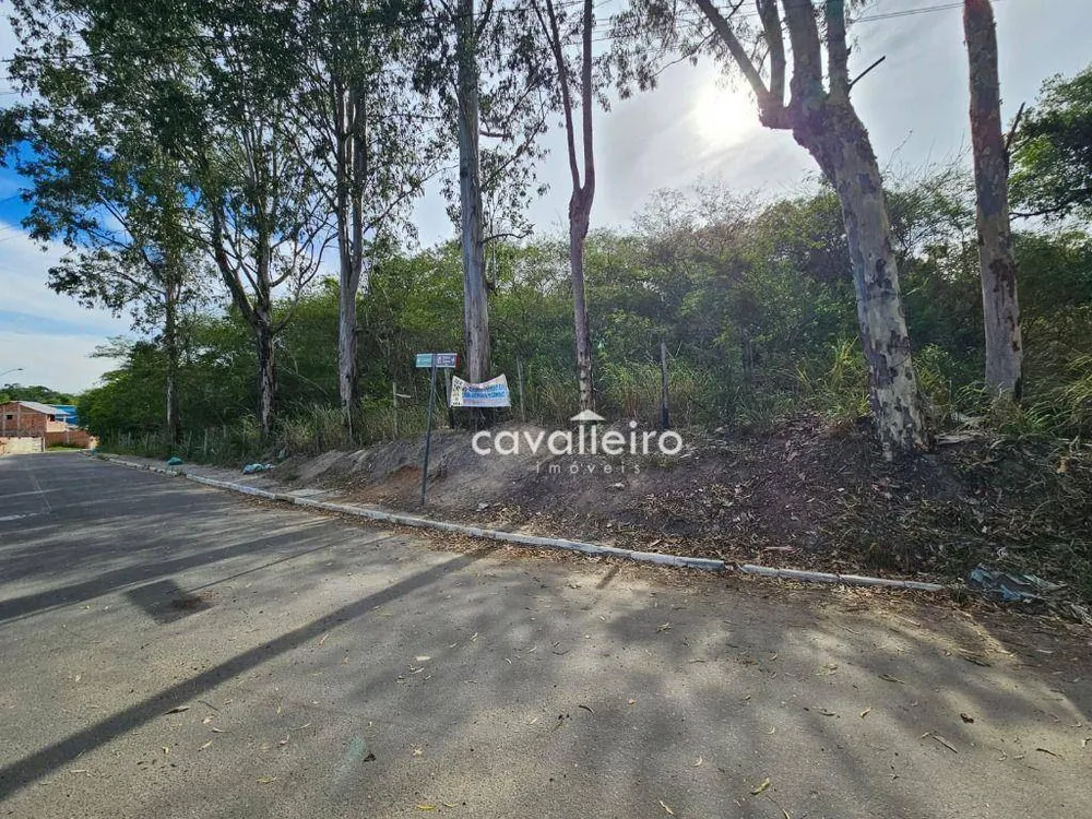 Terreno, 21 hectares - Foto 5