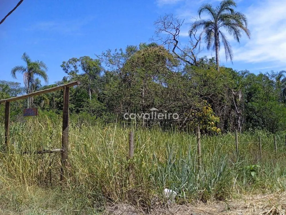 Terreno, 3000 m² - Foto 6