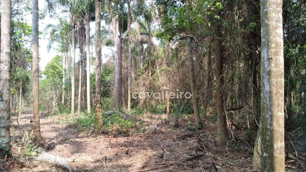 Terreno, 3000 m² - Foto 2