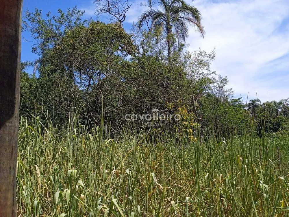 Terreno, 3000 m² - Foto 10