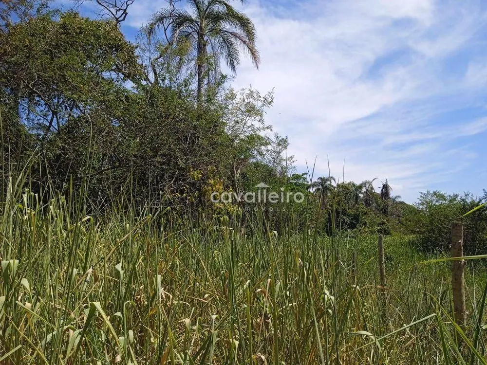 Terreno, 3000 m² - Foto 8