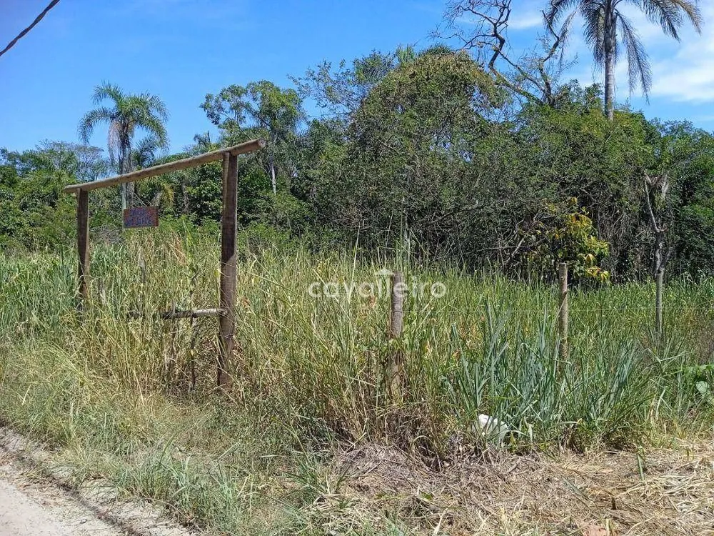 Terreno, 3000 m² - Foto 3
