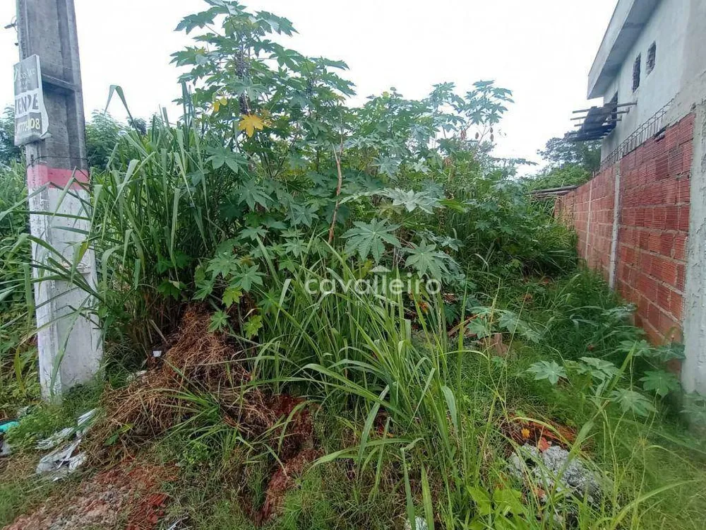 Terreno, 480 m² - Foto 4