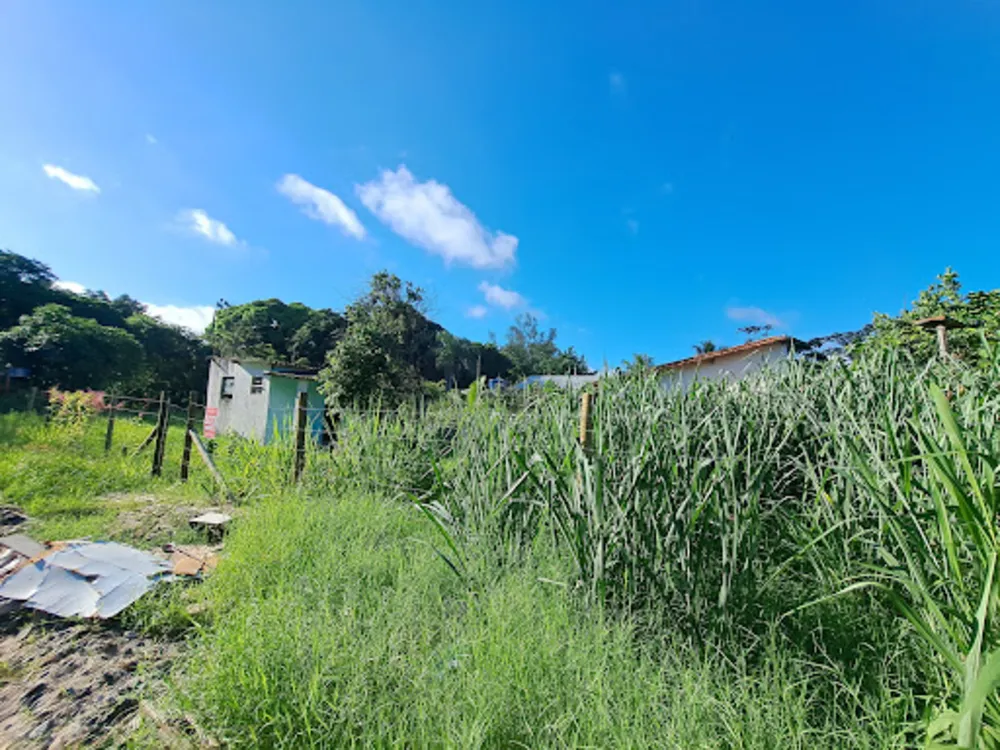 Terreno, 354 m² - Foto 7