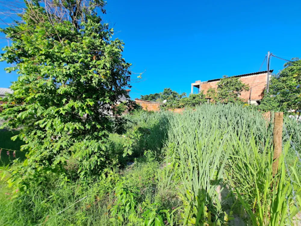 Terreno, 354 m² - Foto 8