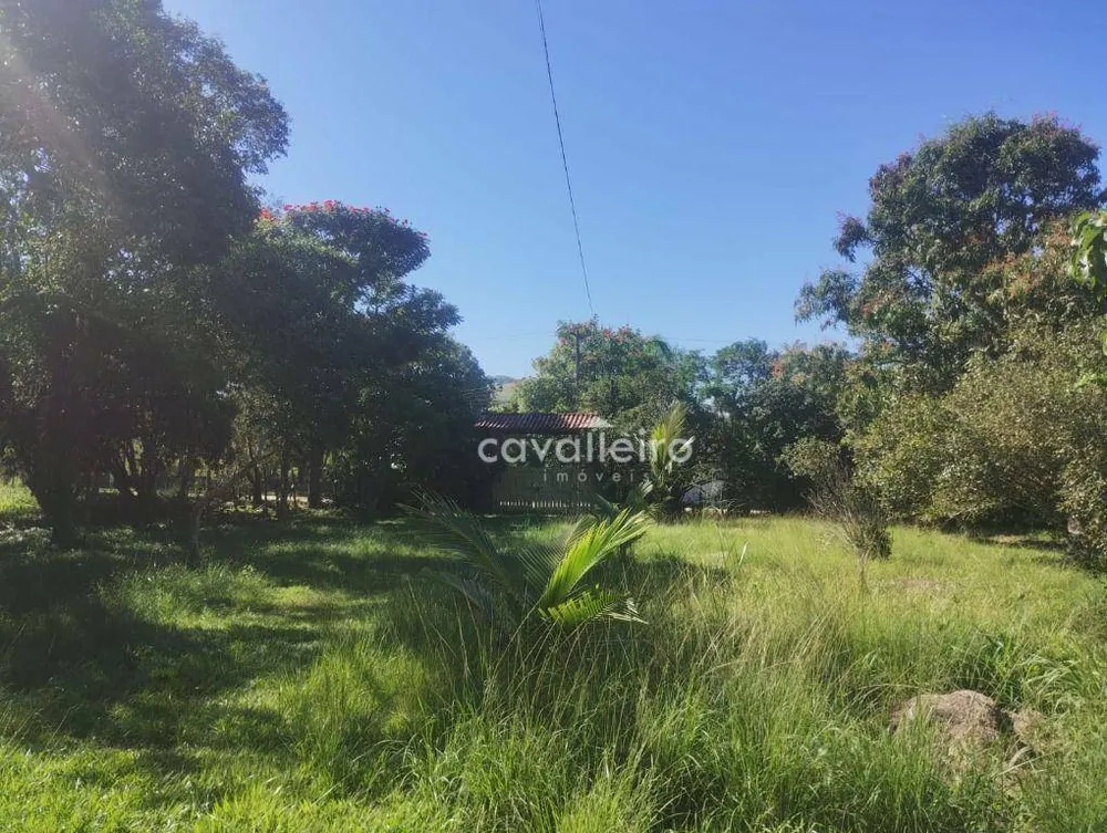 Chácara, 3 quartos, 6437 m² - Foto 6