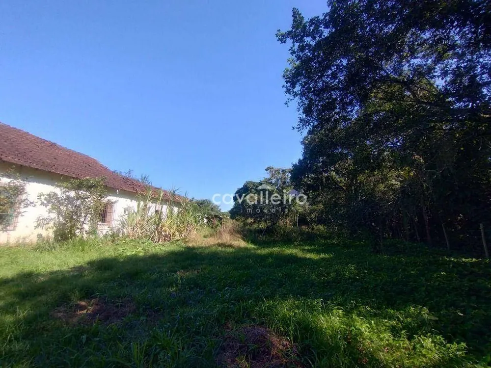 Chácara, 3 quartos, 6437 m² - Foto 7