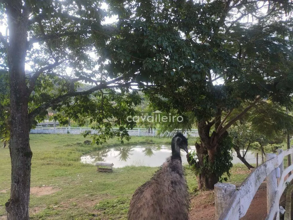 Sítio, 4 quartos, 9500 m² - Foto 12
