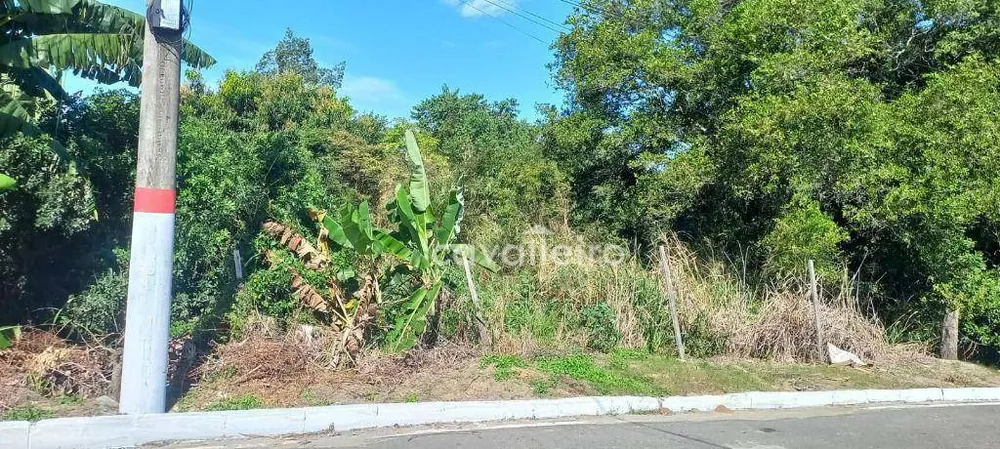 Terreno, 1000 m² - Foto 3