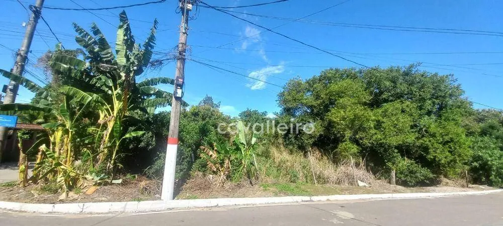 Terreno, 1000 m² - Foto 2