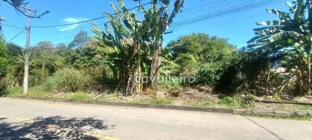Terreno, 1000 m² - Foto 6