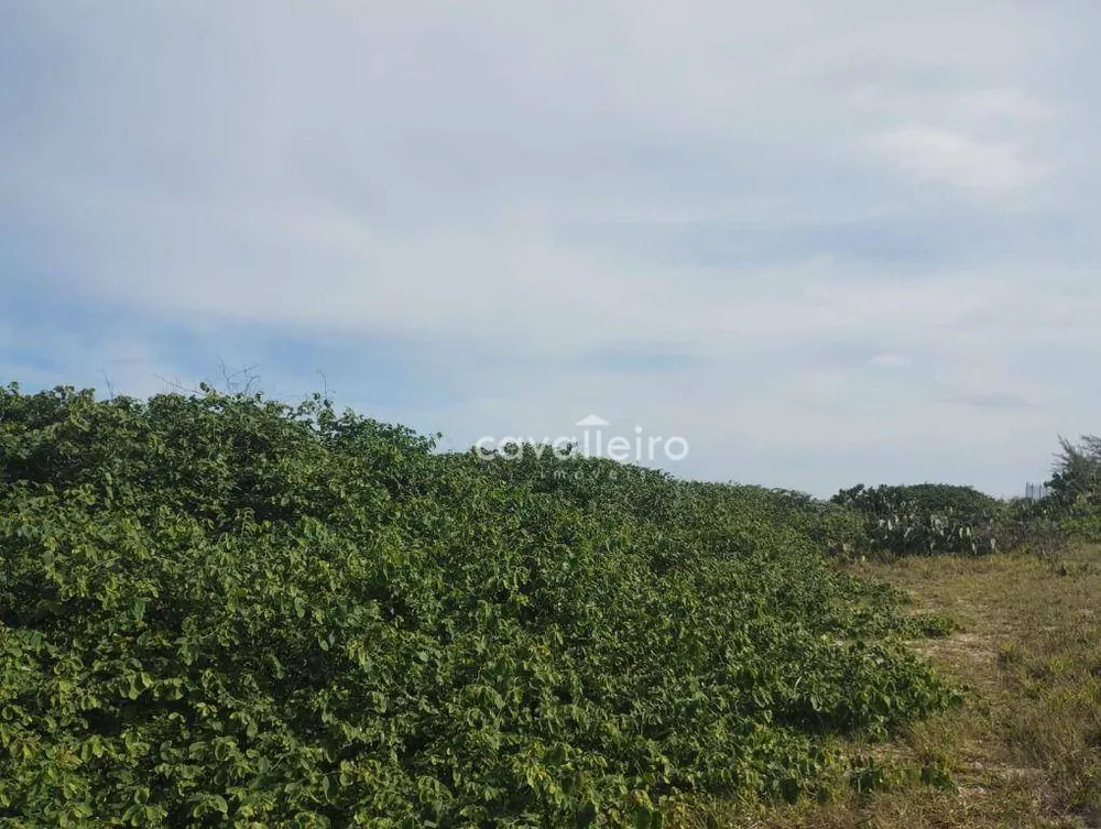 Terreno, 492 m² - Foto 10