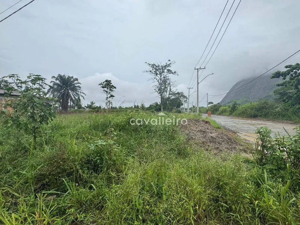 Terreno, 30 hectares - Foto 2