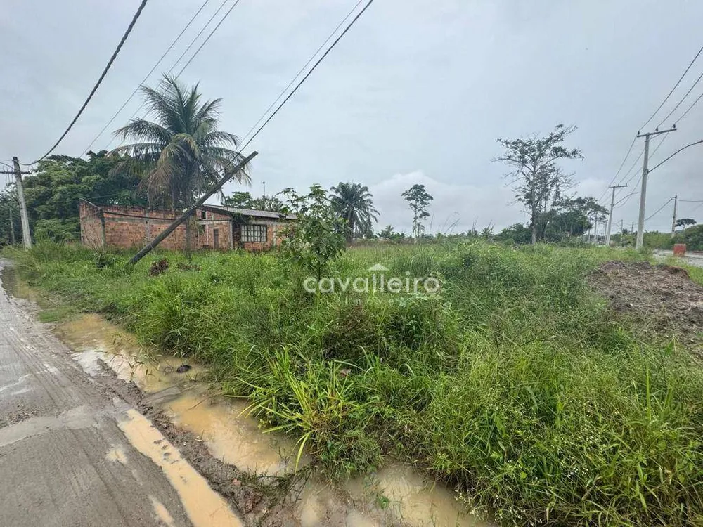 Terreno, 30 hectares - Foto 1