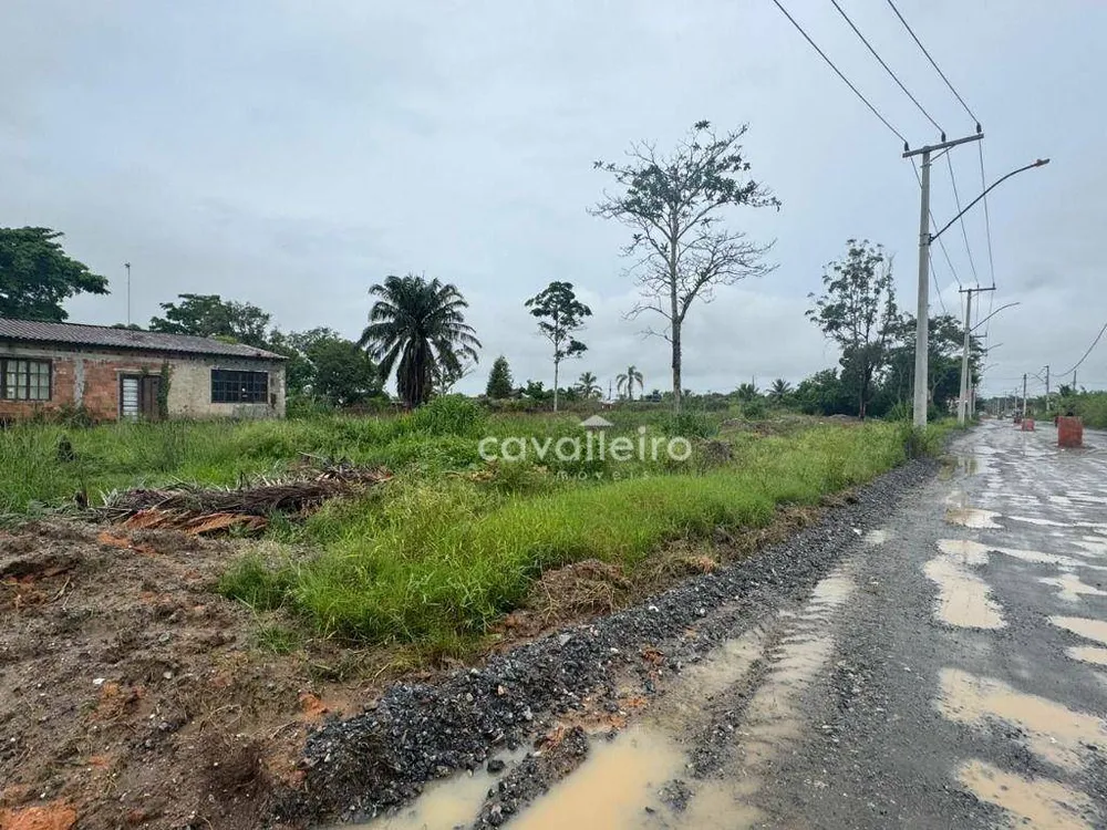 Terreno, 30 hectares - Foto 4