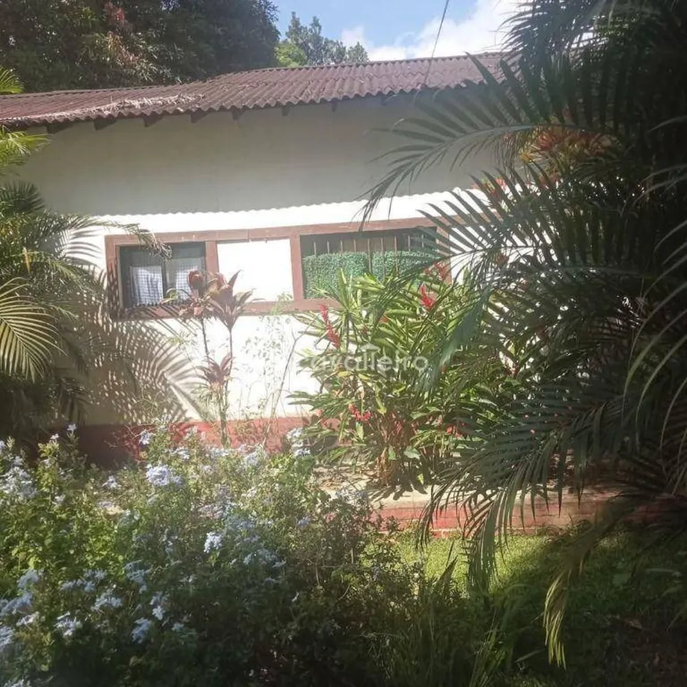 Sítio, 3 quartos, 3169 m² - Foto 54