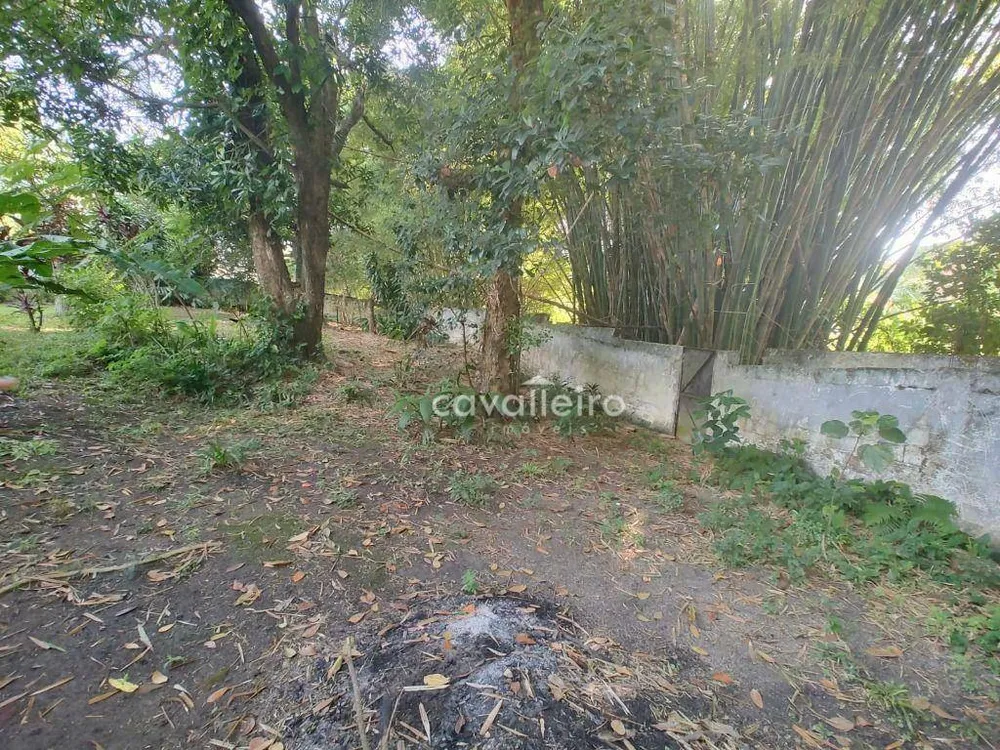 Sítio, 3 quartos, 3169 m² - Foto 44