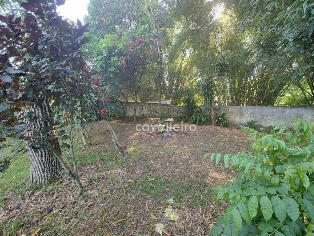 Sítio, 3 quartos, 3169 m² - Foto 43