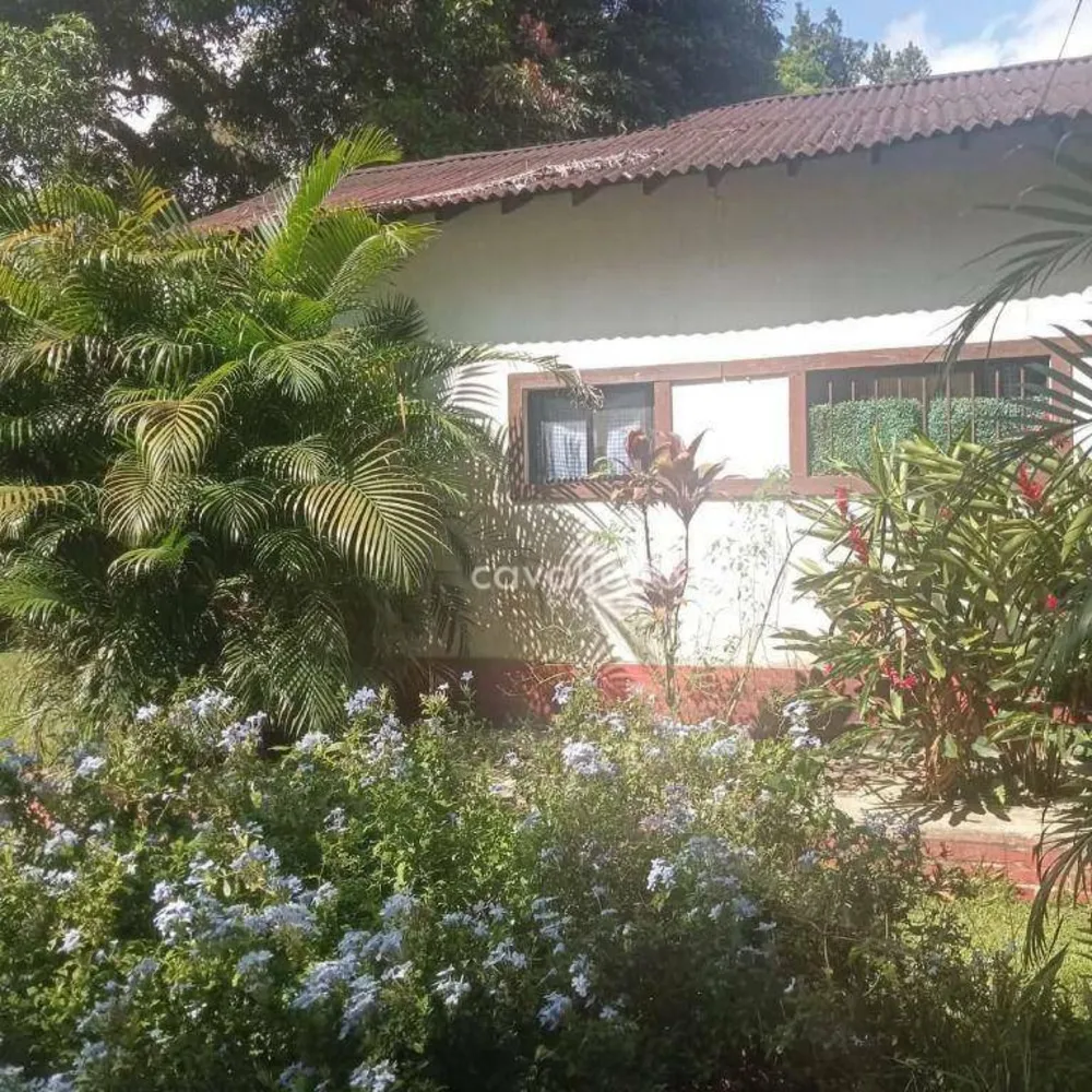 Sítio, 3 quartos, 3169 m² - Foto 51
