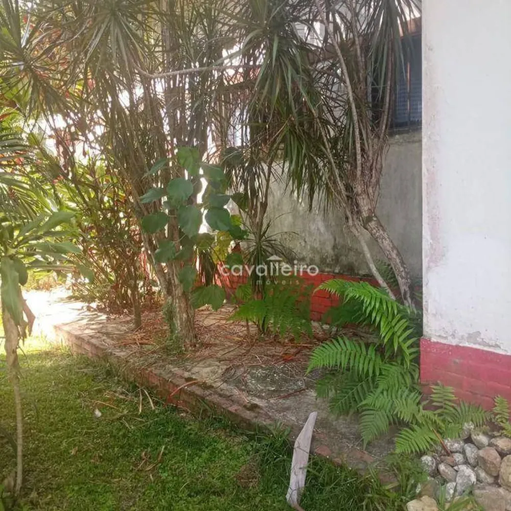 Sítio, 3 quartos, 3169 m² - Foto 56