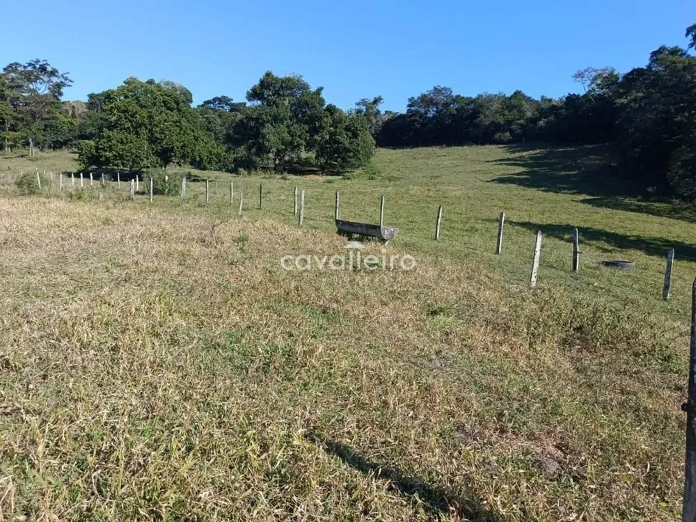Terreno, 7 hectares - Foto 12
