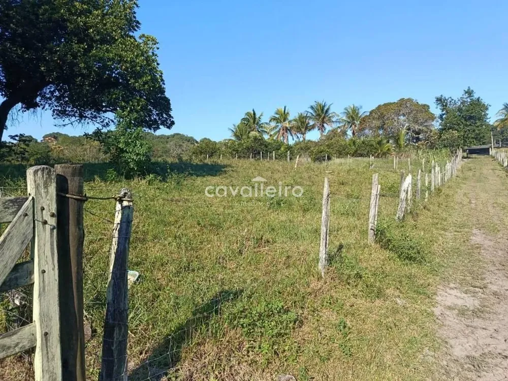 Terreno, 7 hectares - Foto 17
