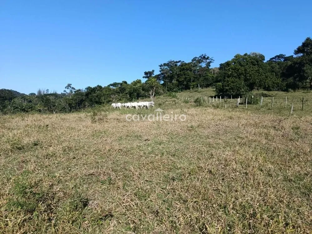 Terreno, 7 hectares - Foto 11
