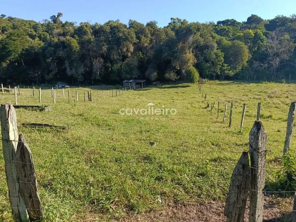 Terreno, 7 hectares - Foto 13