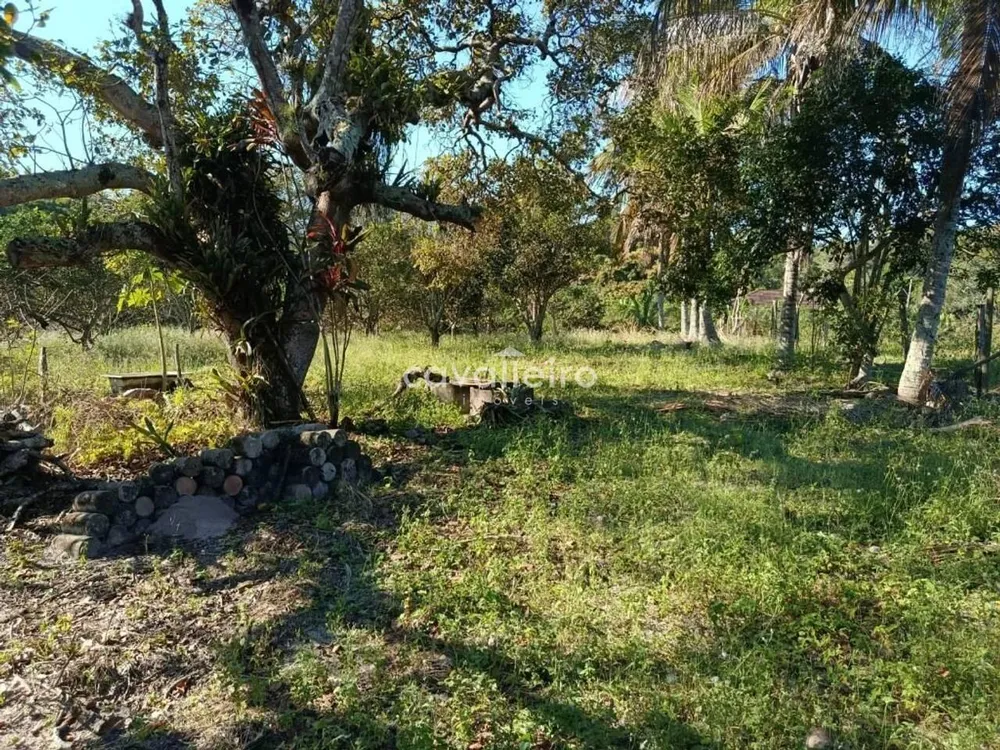 Terreno, 7 hectares - Foto 14