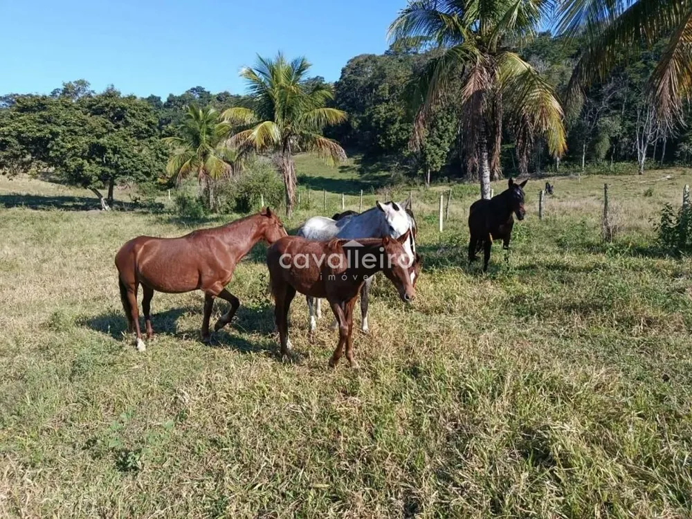 Terreno, 7 hectares - Foto 10