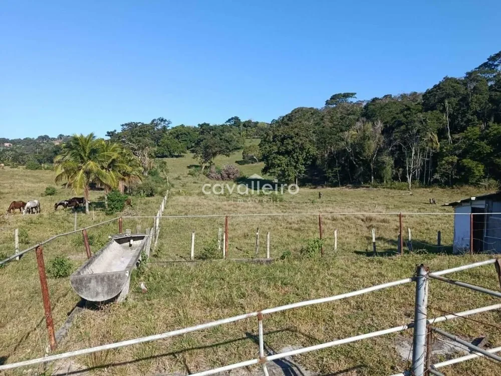 Terreno, 7 hectares - Foto 7