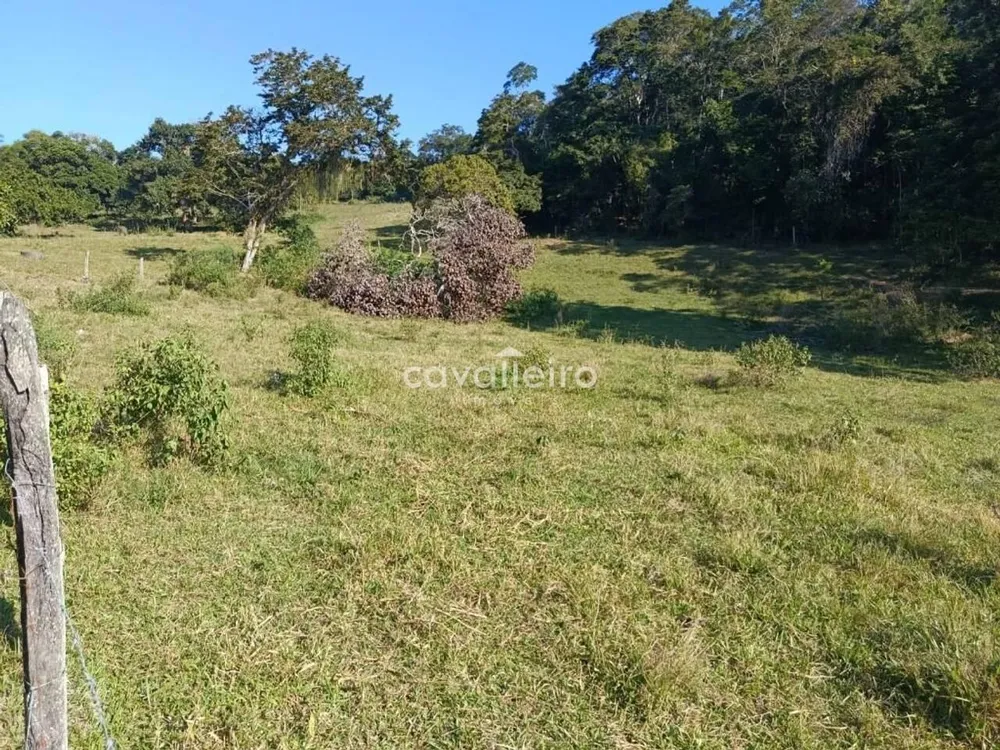 Terreno, 7 hectares - Foto 3